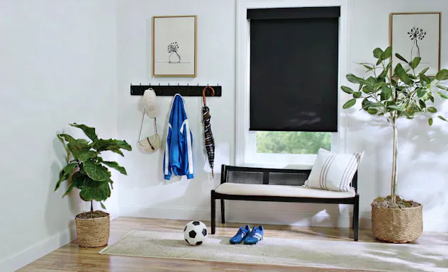 Roller shade on window