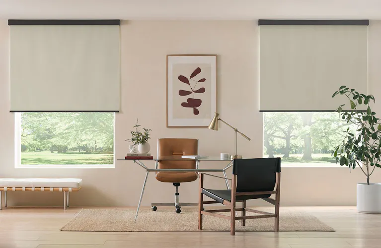 Blackout shades on windows