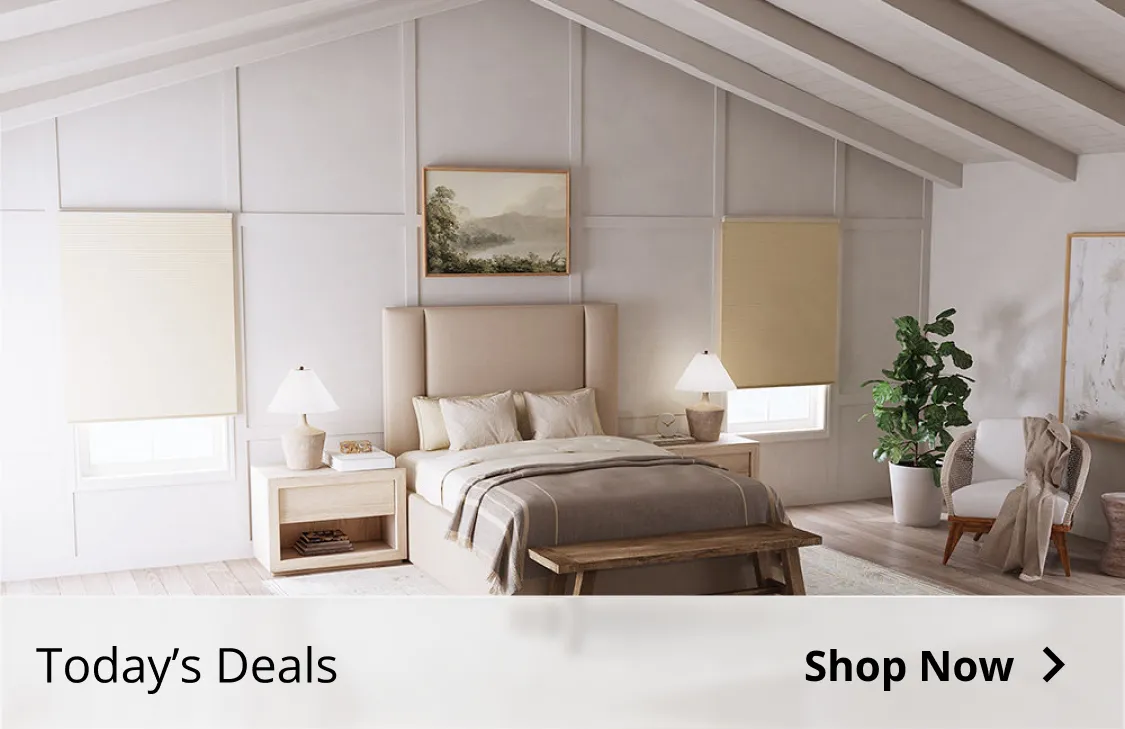 Today's Deals