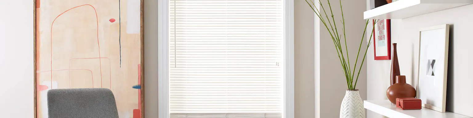 Blinds on window