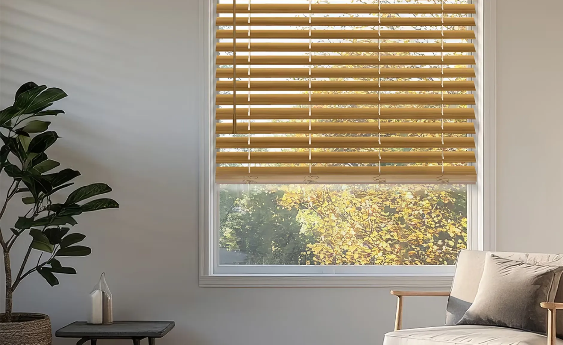 Blind on window