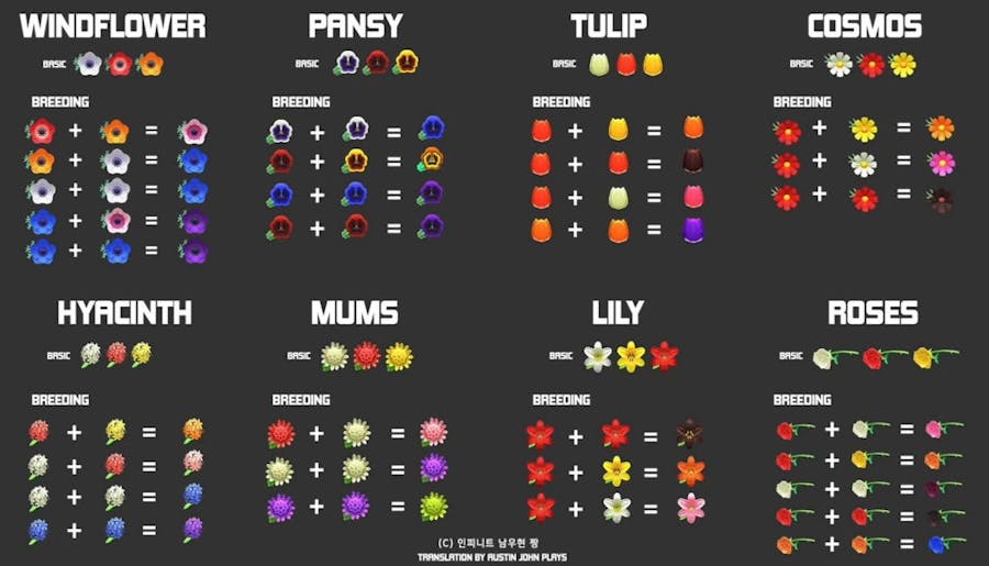 12x12 acnh breeding animalcrossing newhorizons astuce hyacinths acnl cloning motifs hybrides breading mise toutes humeur codes Animal Crossing: New Horizons for Dummies 101 | Geeknabe