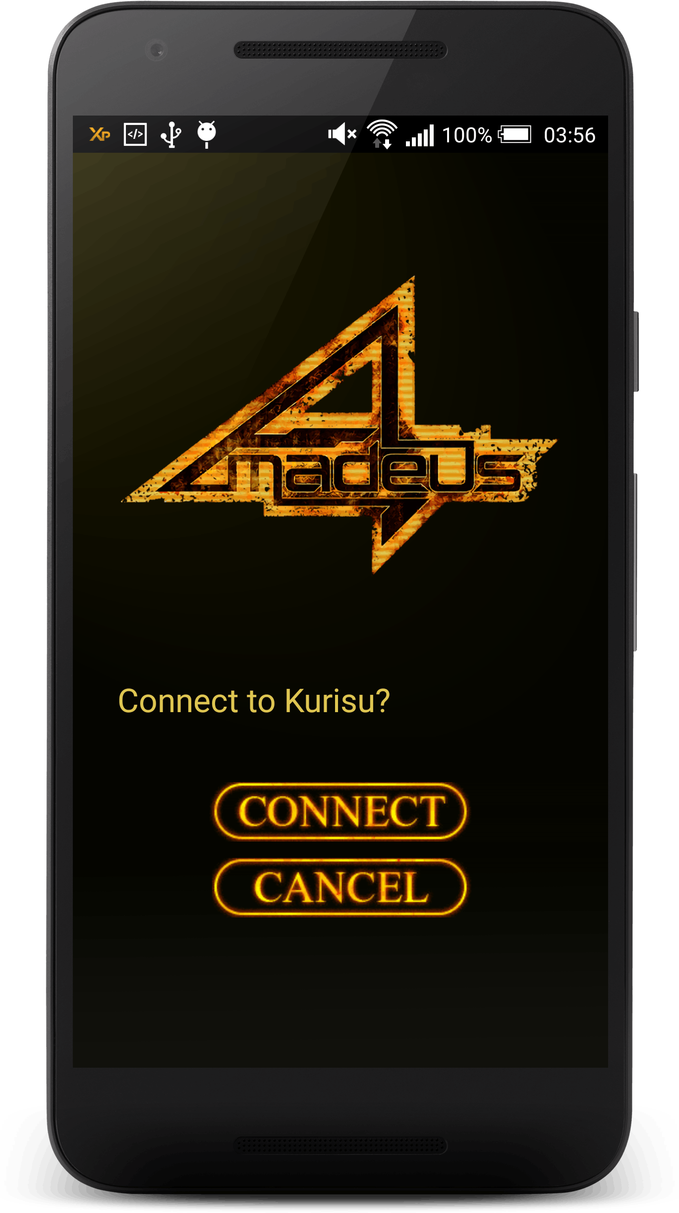 Call screen for Amadeus app. Call screen for Amadeus app.