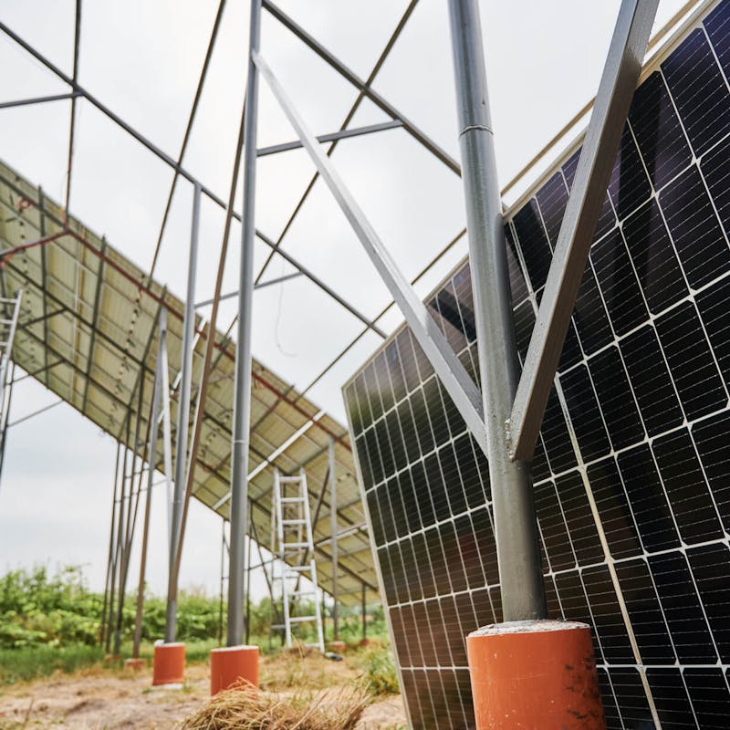 Solaranlage inklusive zugehöriges Backsheet