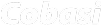 Customer logo