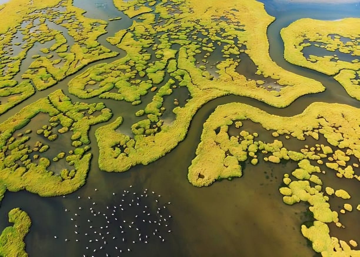 islands in a fractal pattern