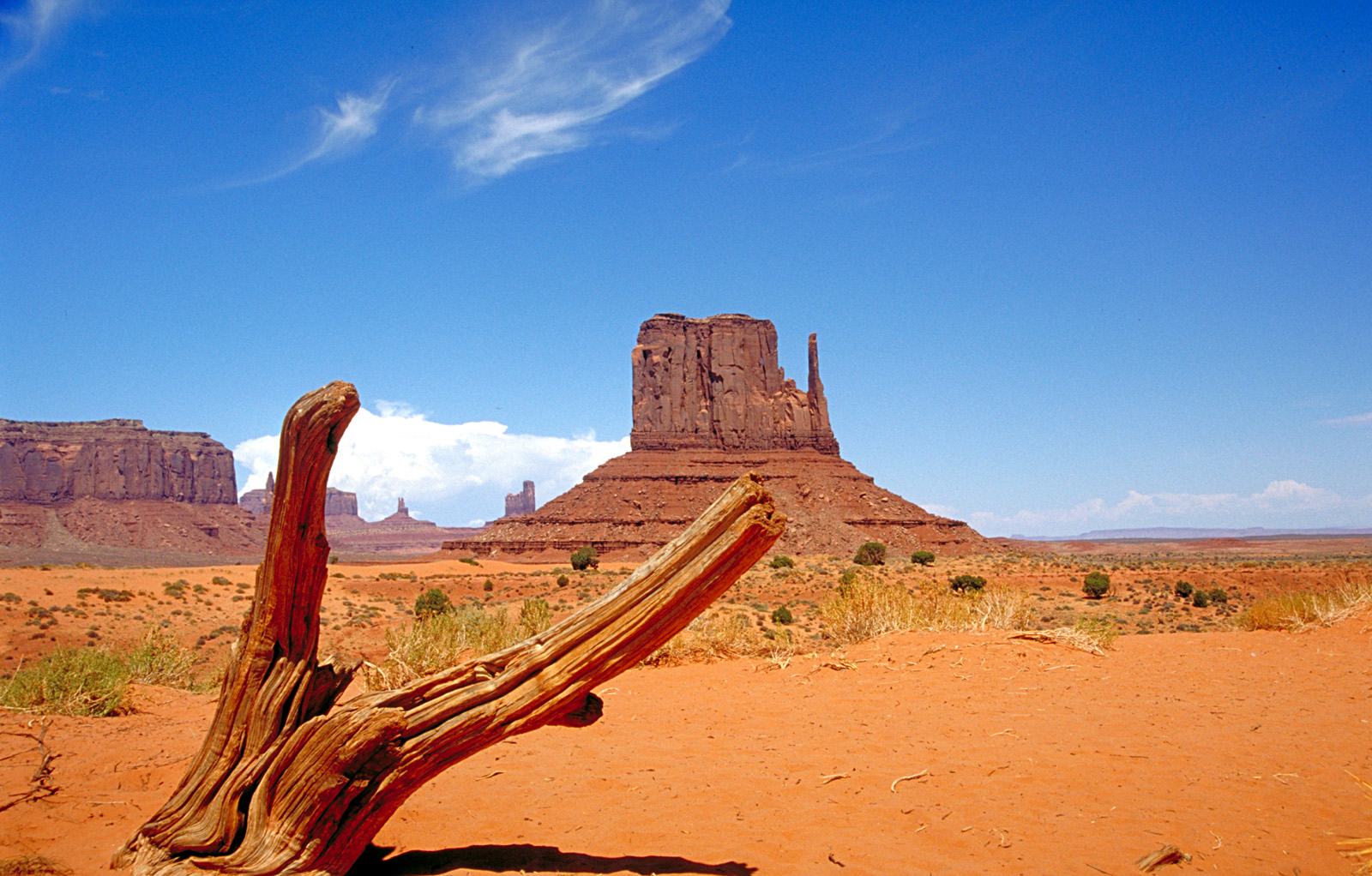 A desert with a branch up close and rock tower in the distance
