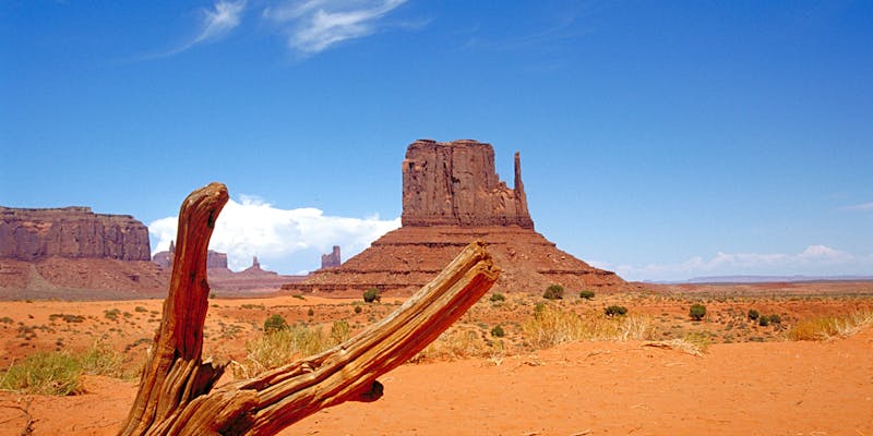 A desert with a branch up close and rock tower in the distance