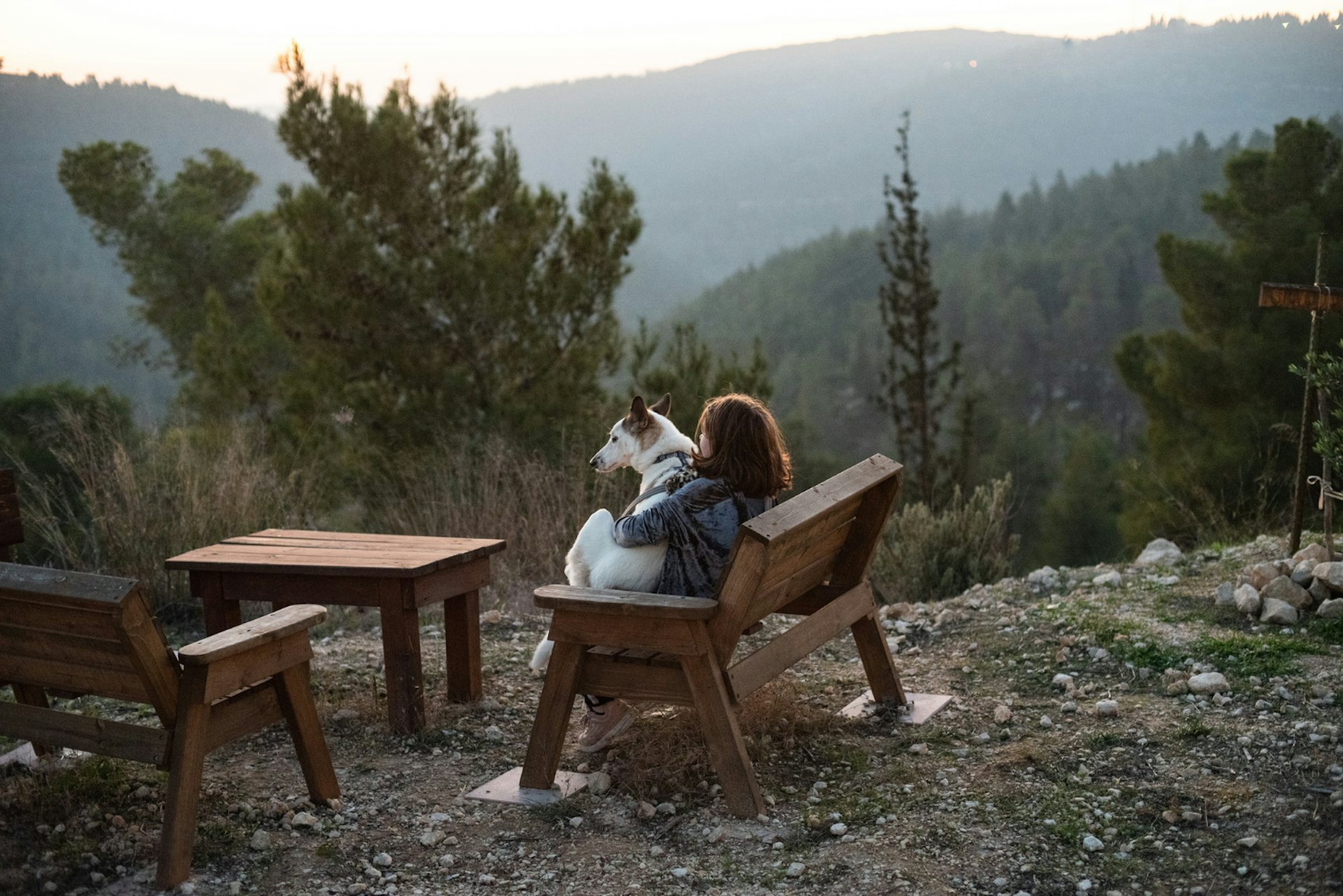 Girl sitting on a wooden bench holding a white dog surrounded by greenery and hills under sunlight