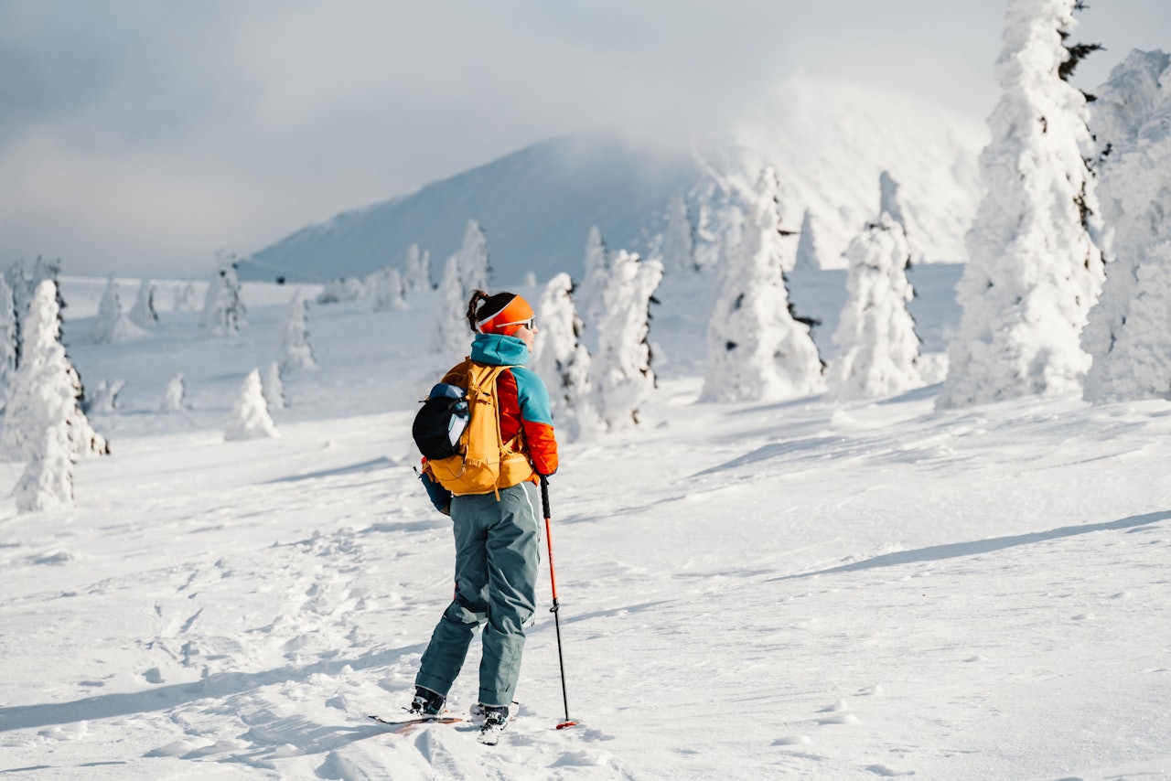 snowshoeing in vail