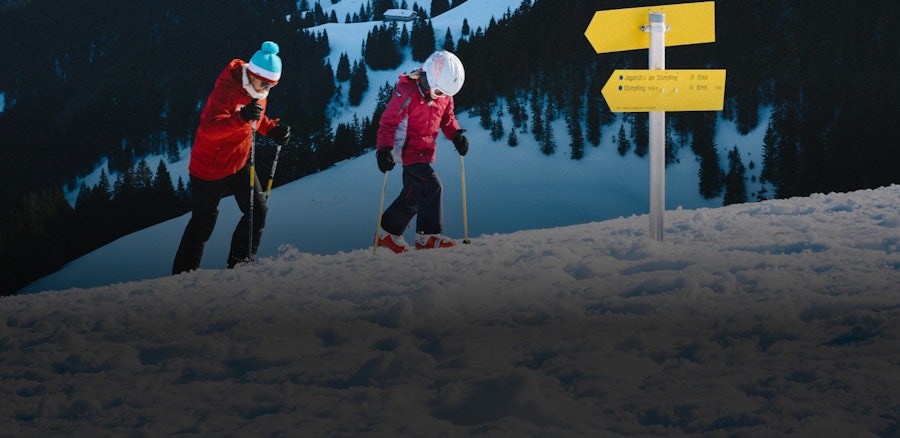 Default description for the image