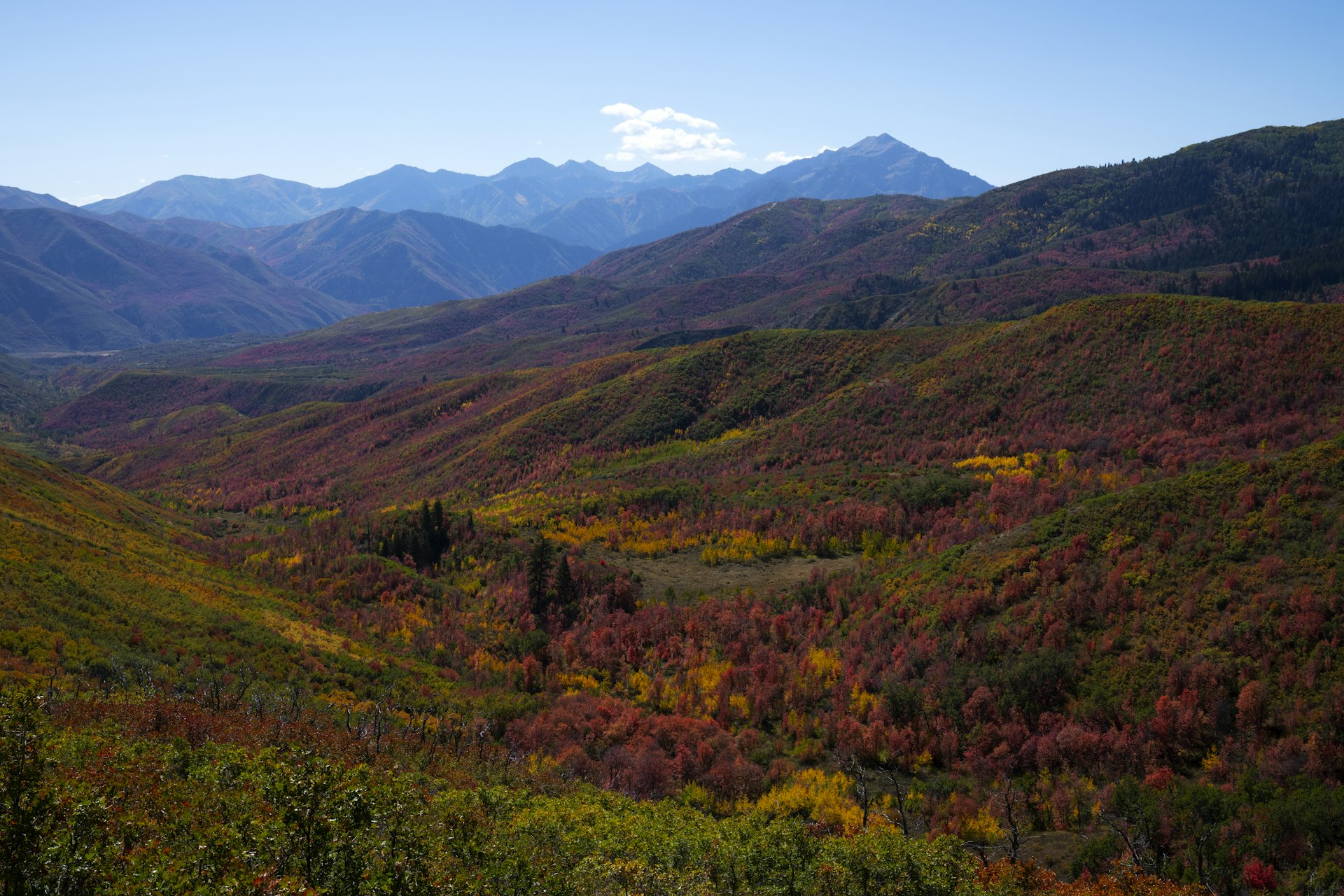Maroon Bells Snowmass summer
