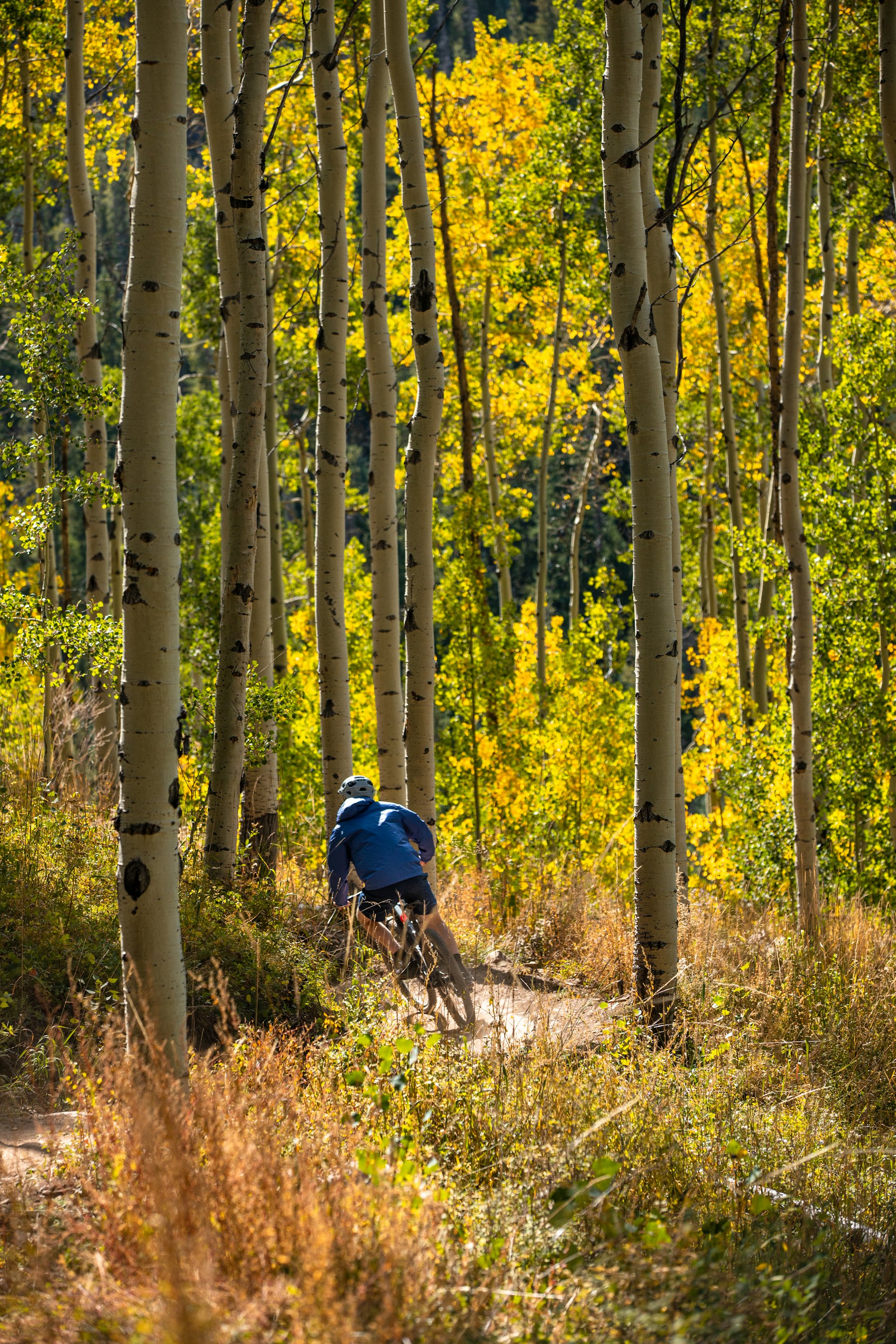 Default description for the image