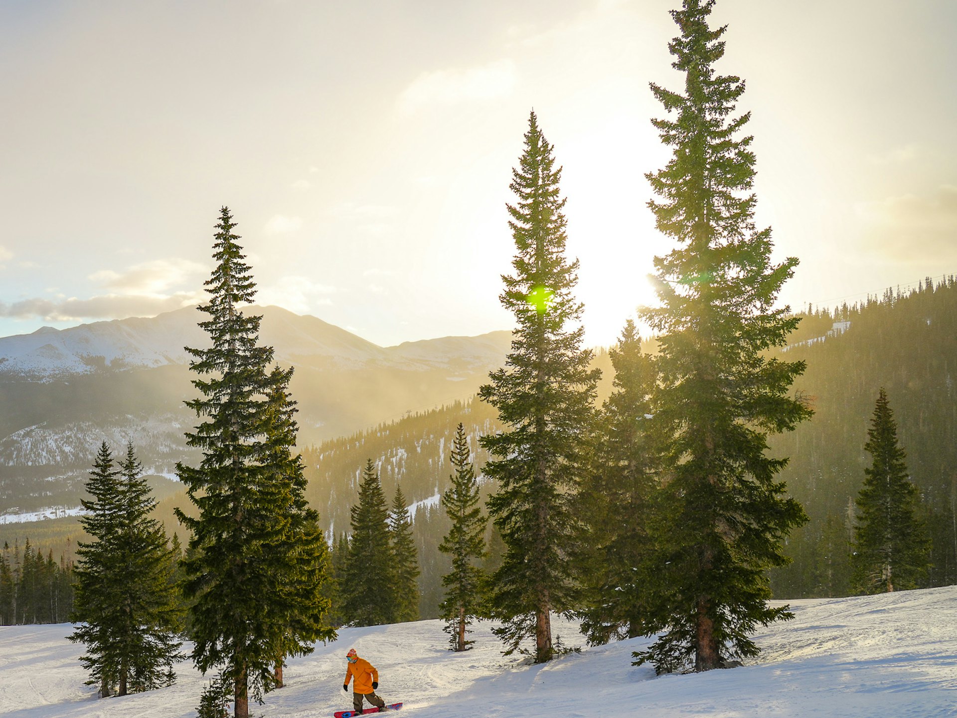 Default description for the image