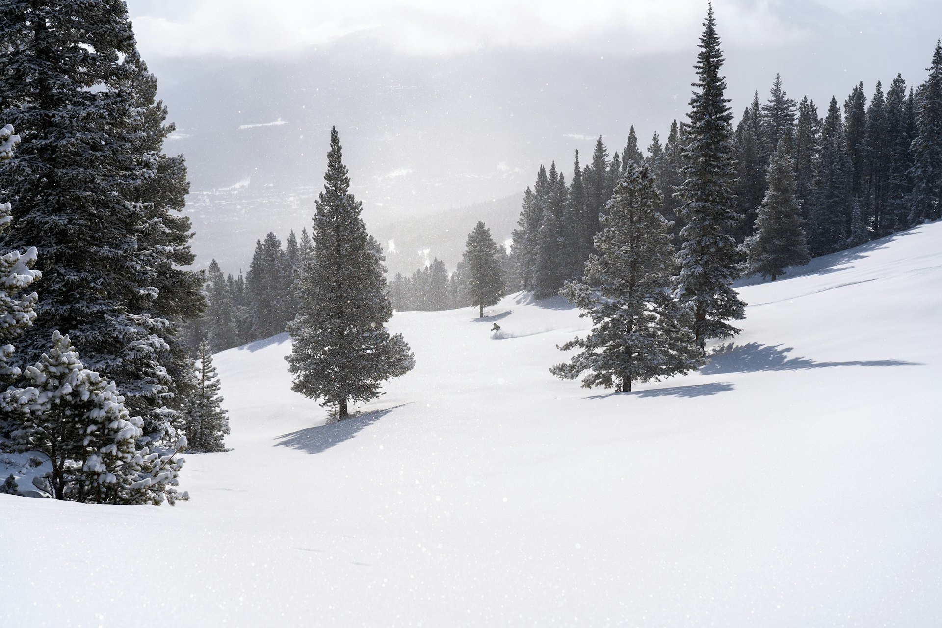 Default description for the image