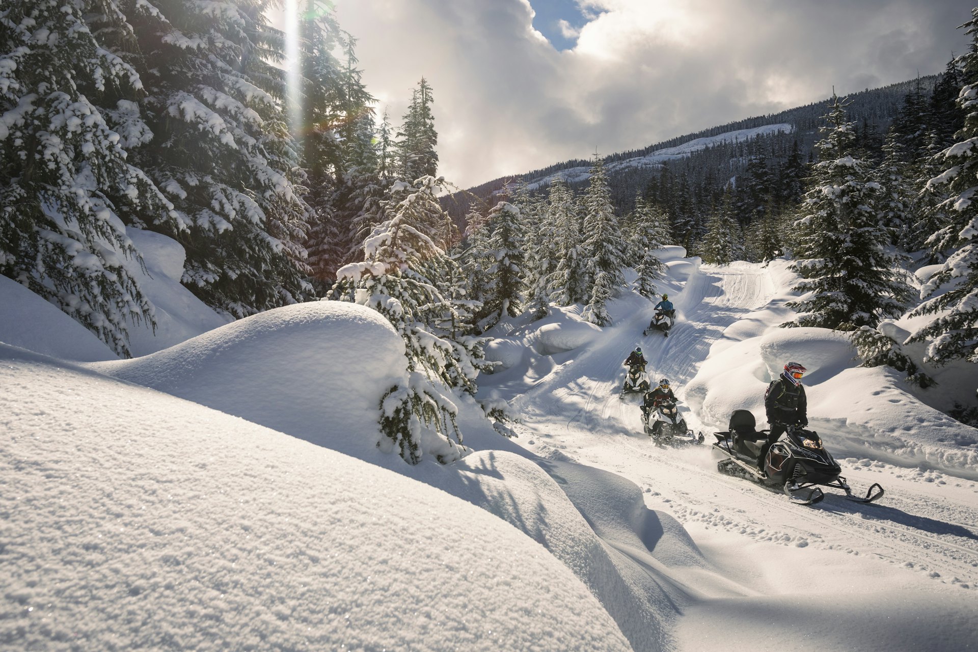 Default description for the image