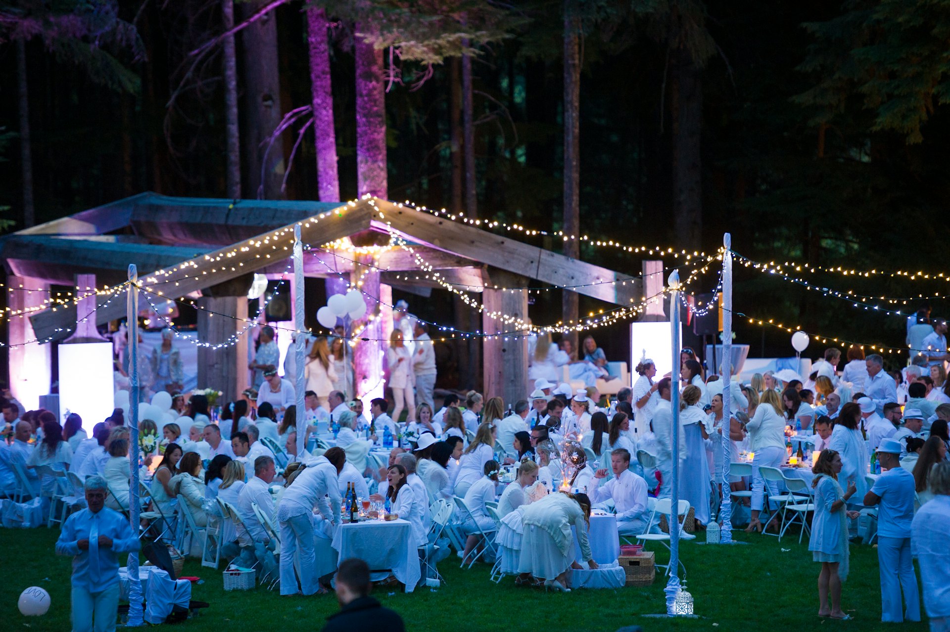Whistler wedding guide