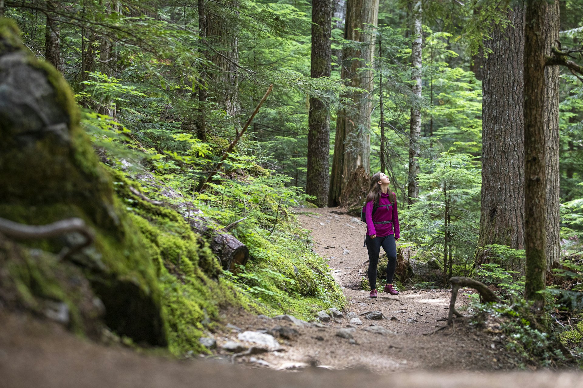 Hiking trails at Whistler