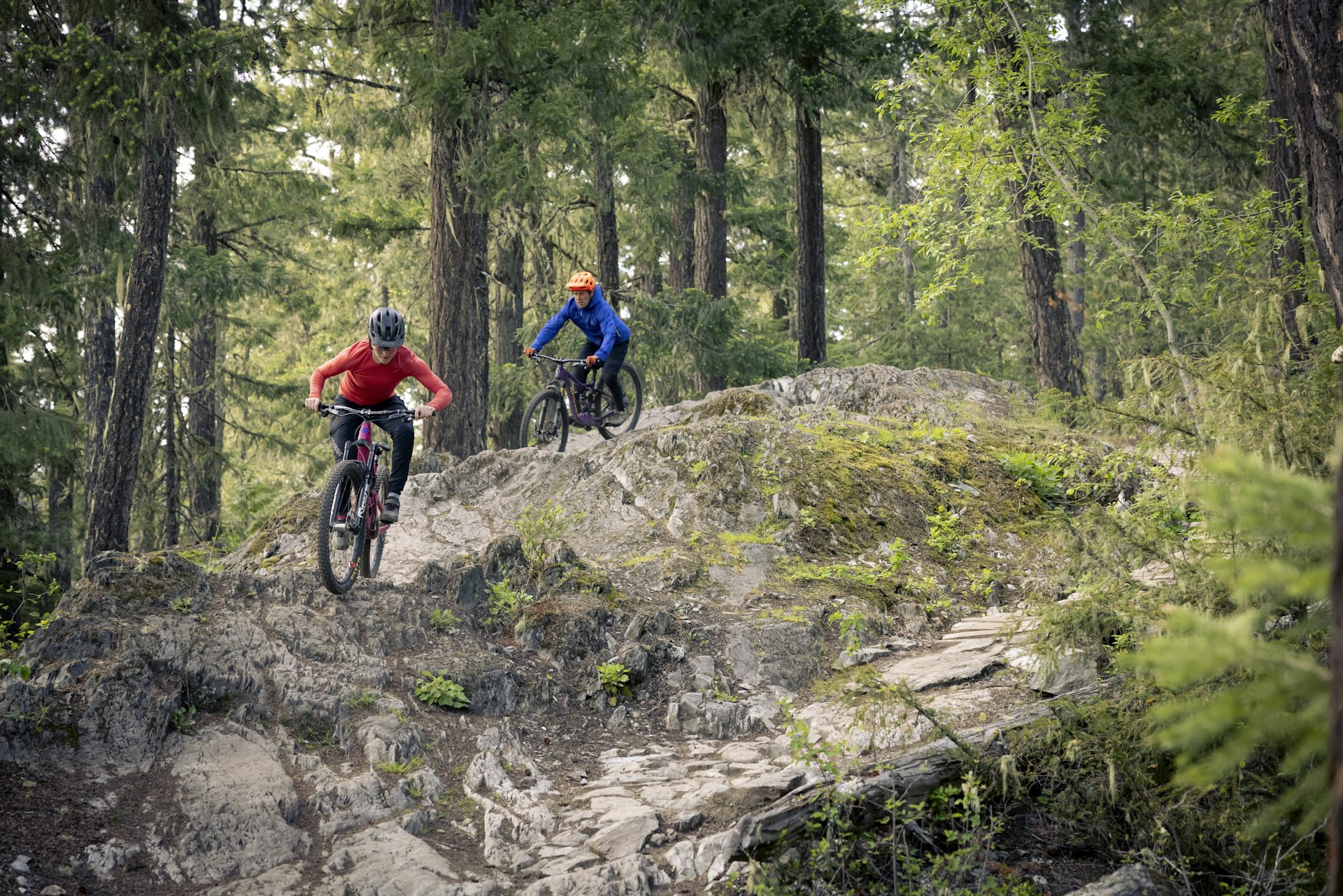 Whistler mountain biking