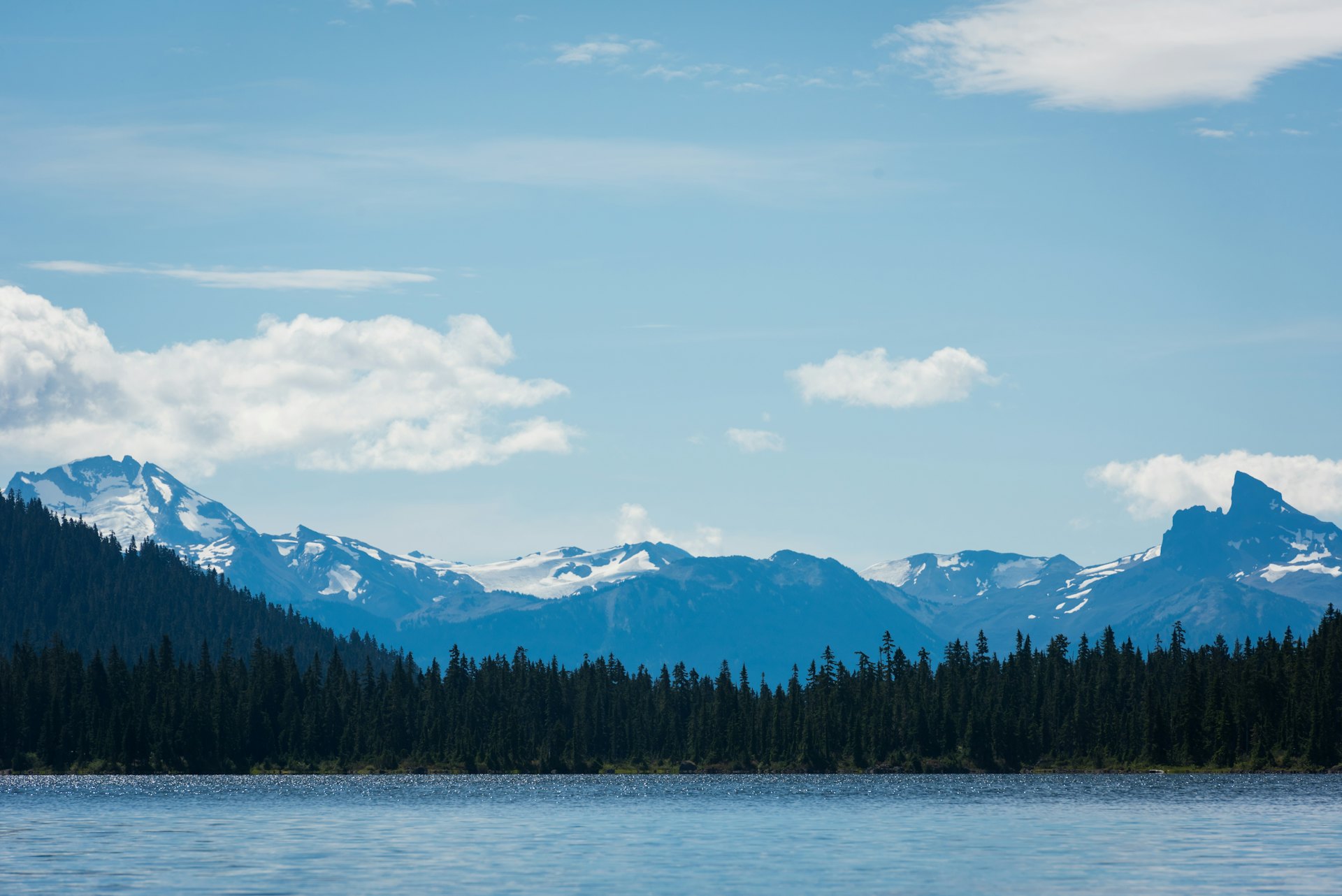 Wildlife at Whistler