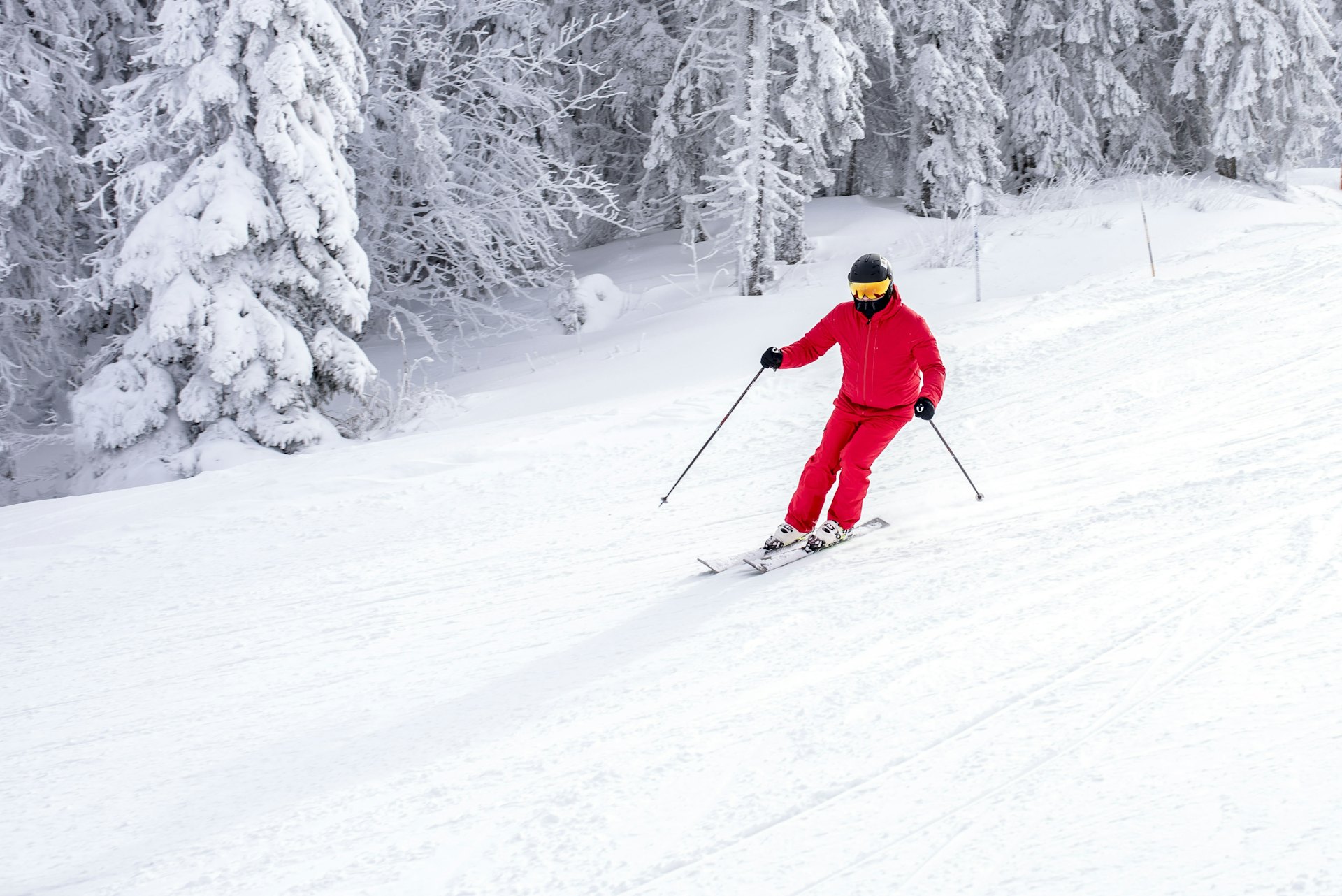 steamboat mountain reviews