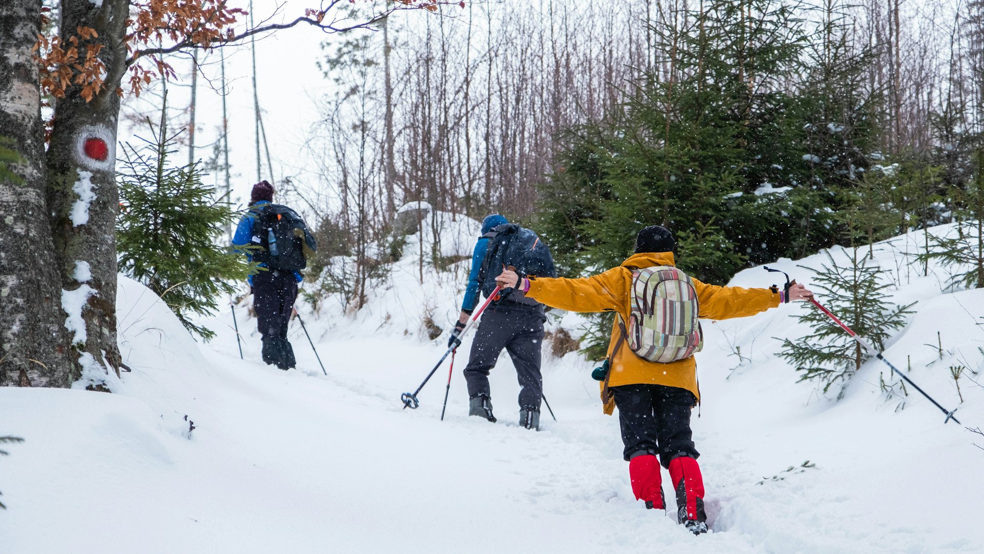 steamboat springs for non-skiers