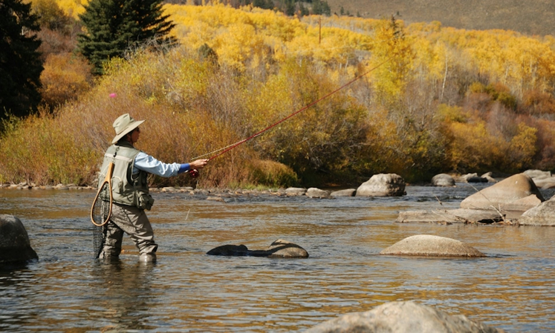 Default description for the image