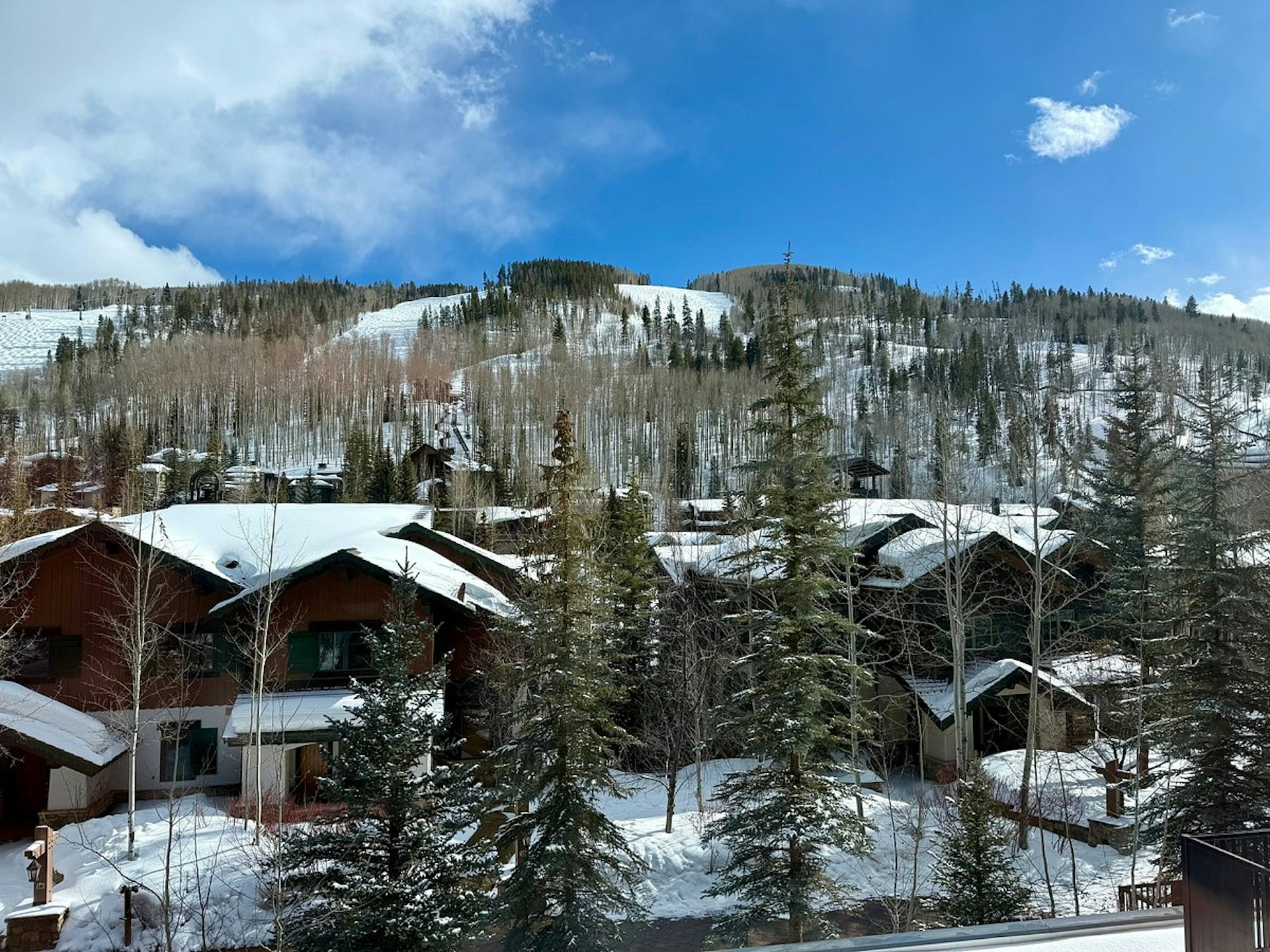 Default description for the image