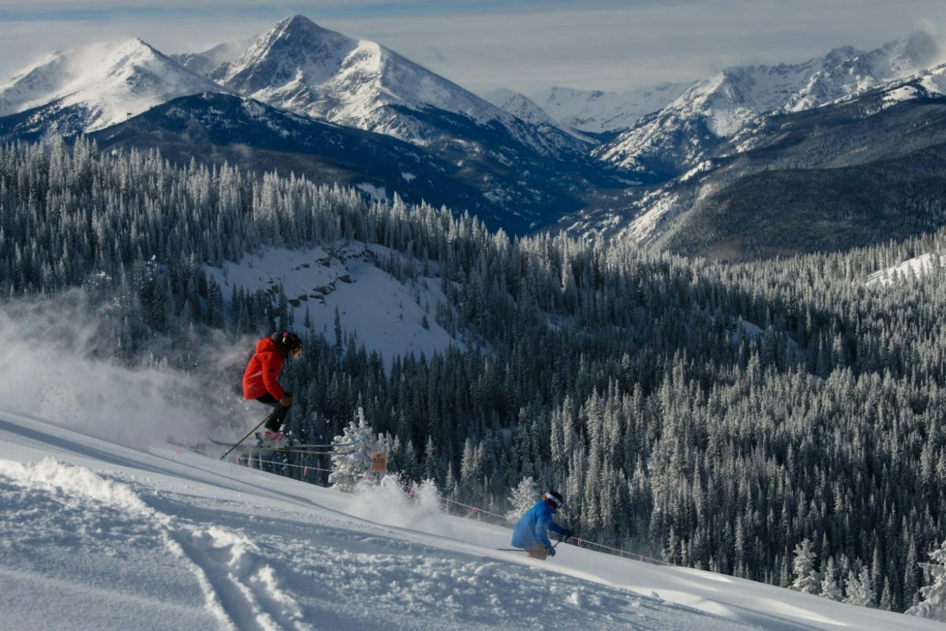 A skier descends a snowy mountain, surrounded by tall trees in the background.