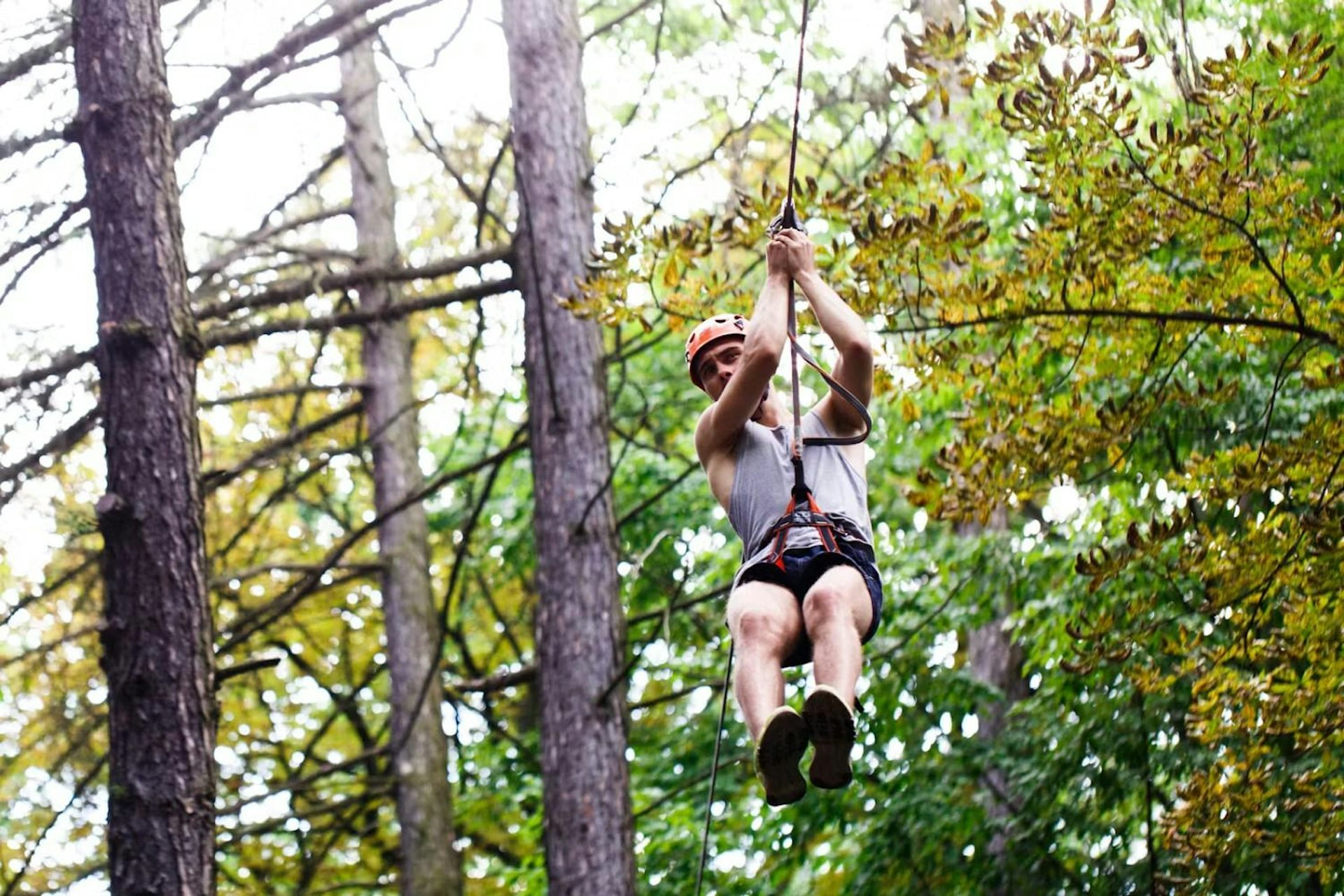 An individual zips through the woods on a zipline, with vibrant foliage and tree trunks visible in the background.