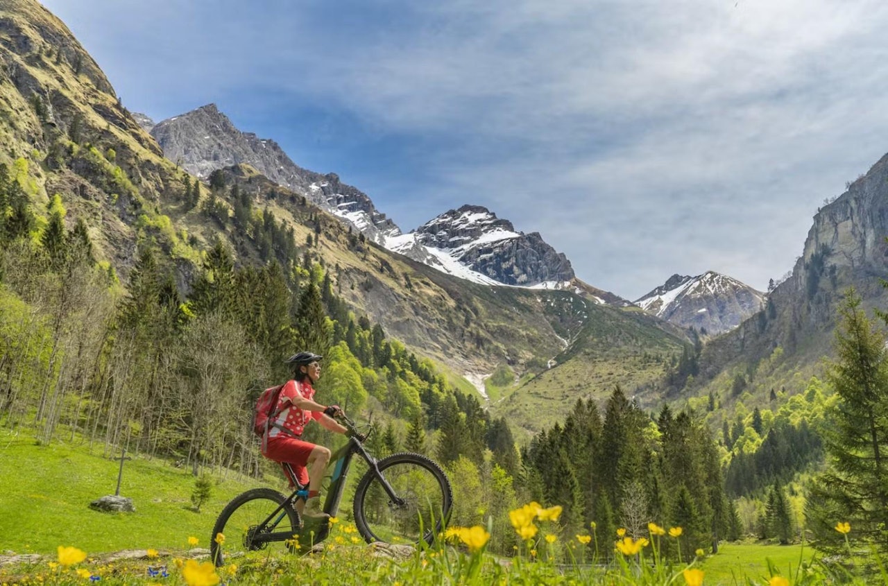 Mountain biker navigating a rugged trail in the scenic Alps, surrounded by towering peaks and lush greenery.
