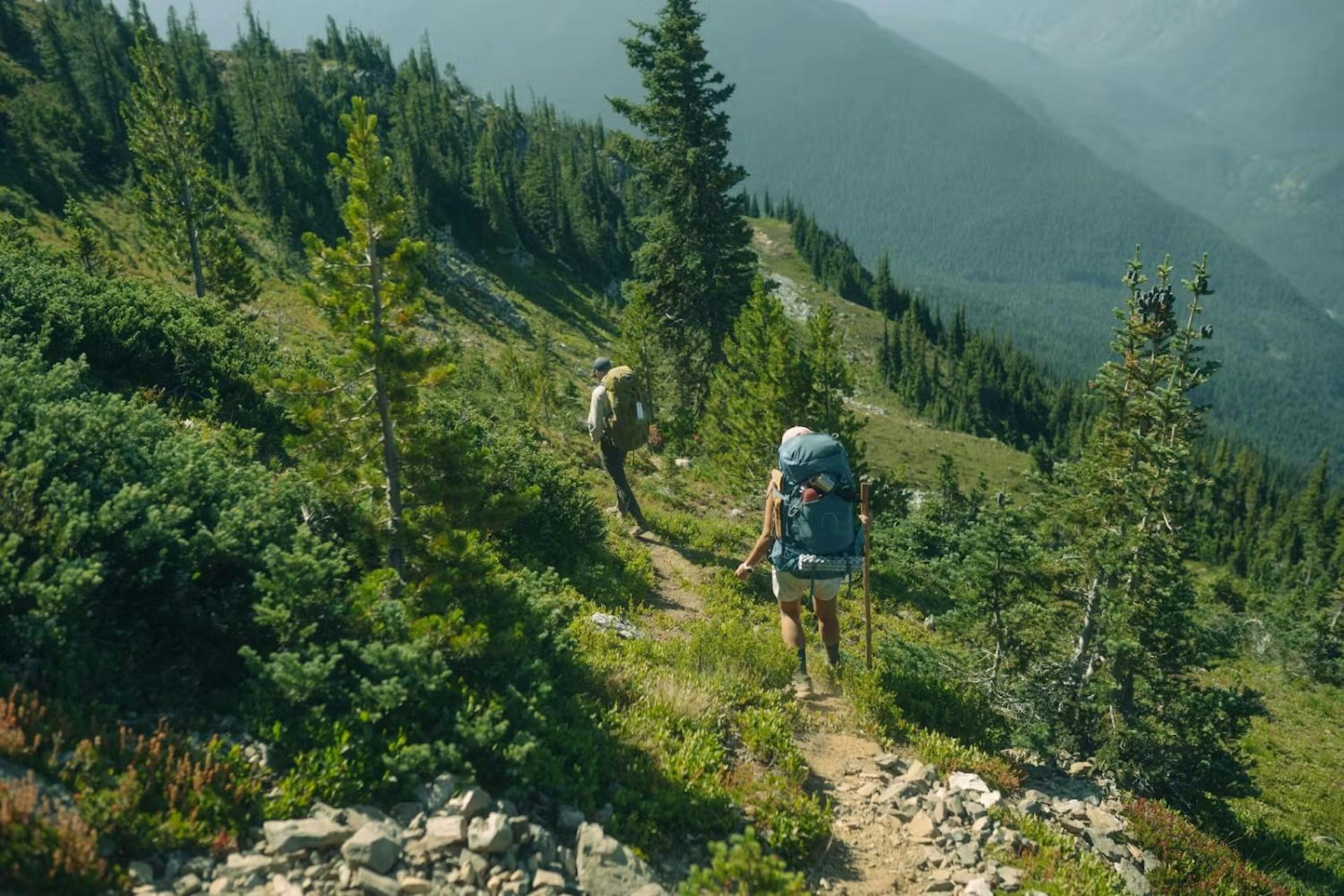 Two hikers trek up a mountain path, flanked by trees and rocky terrain, with a scenic view of the landscape ahead.
