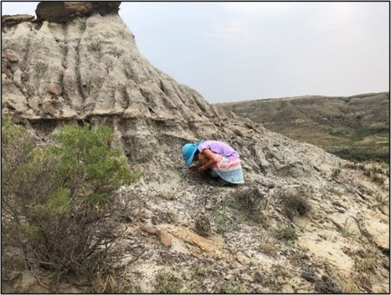 Jon's daughter looking for fossils in the Badlands, Alberta