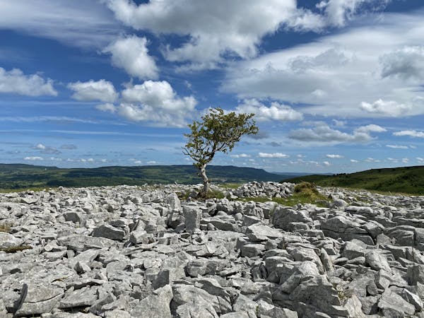 Rocks at the Burren, County Clare, West coast of Ireland.