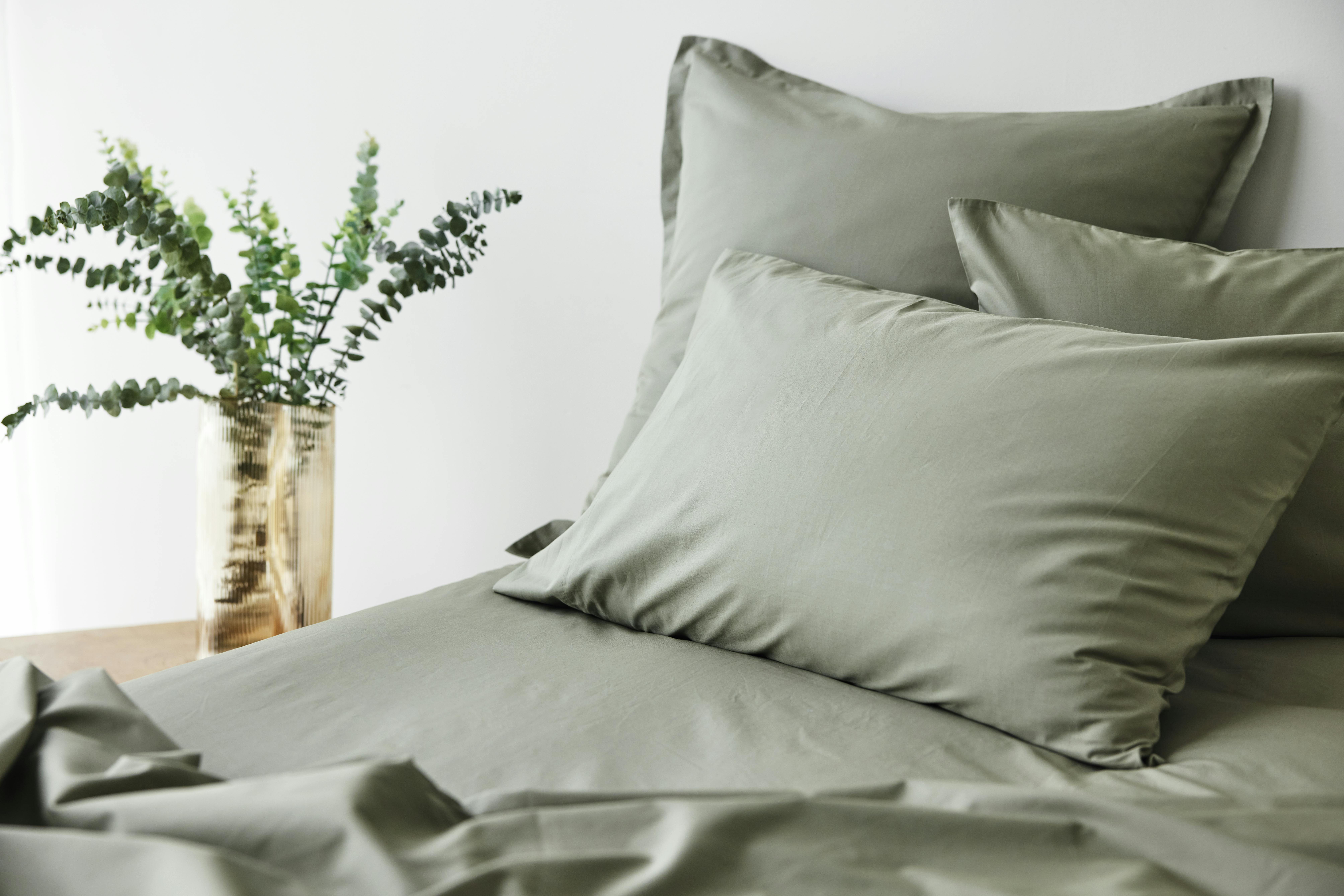 Fresh Cotton Percale Sheet Set in Cedar