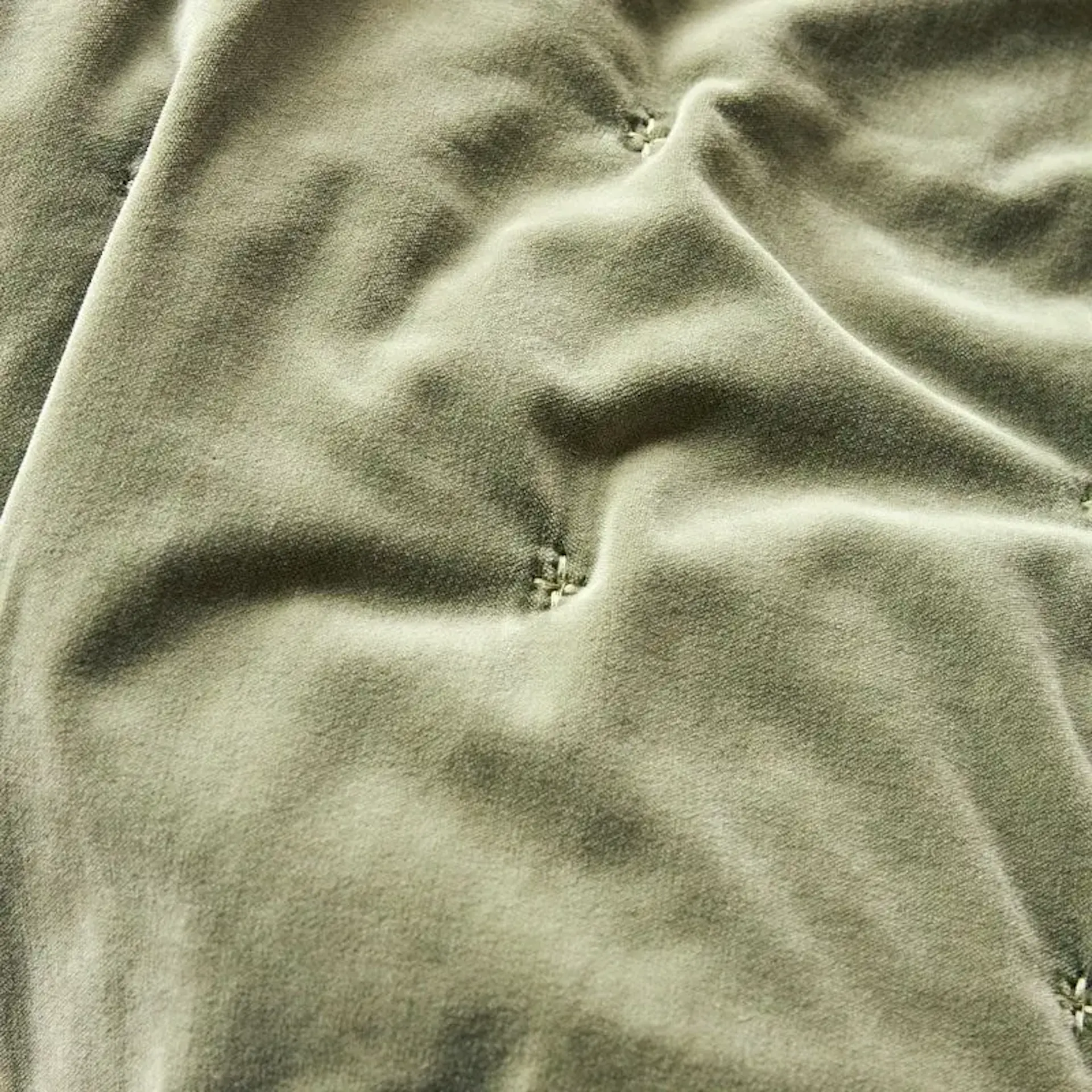 Venus Velvet Cotton in Olive