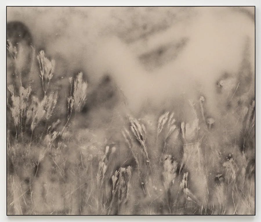 A black and white painting depicts a figure laying down in a field. The painting is made with airbrush making the image appear out of focus and fuzzy.