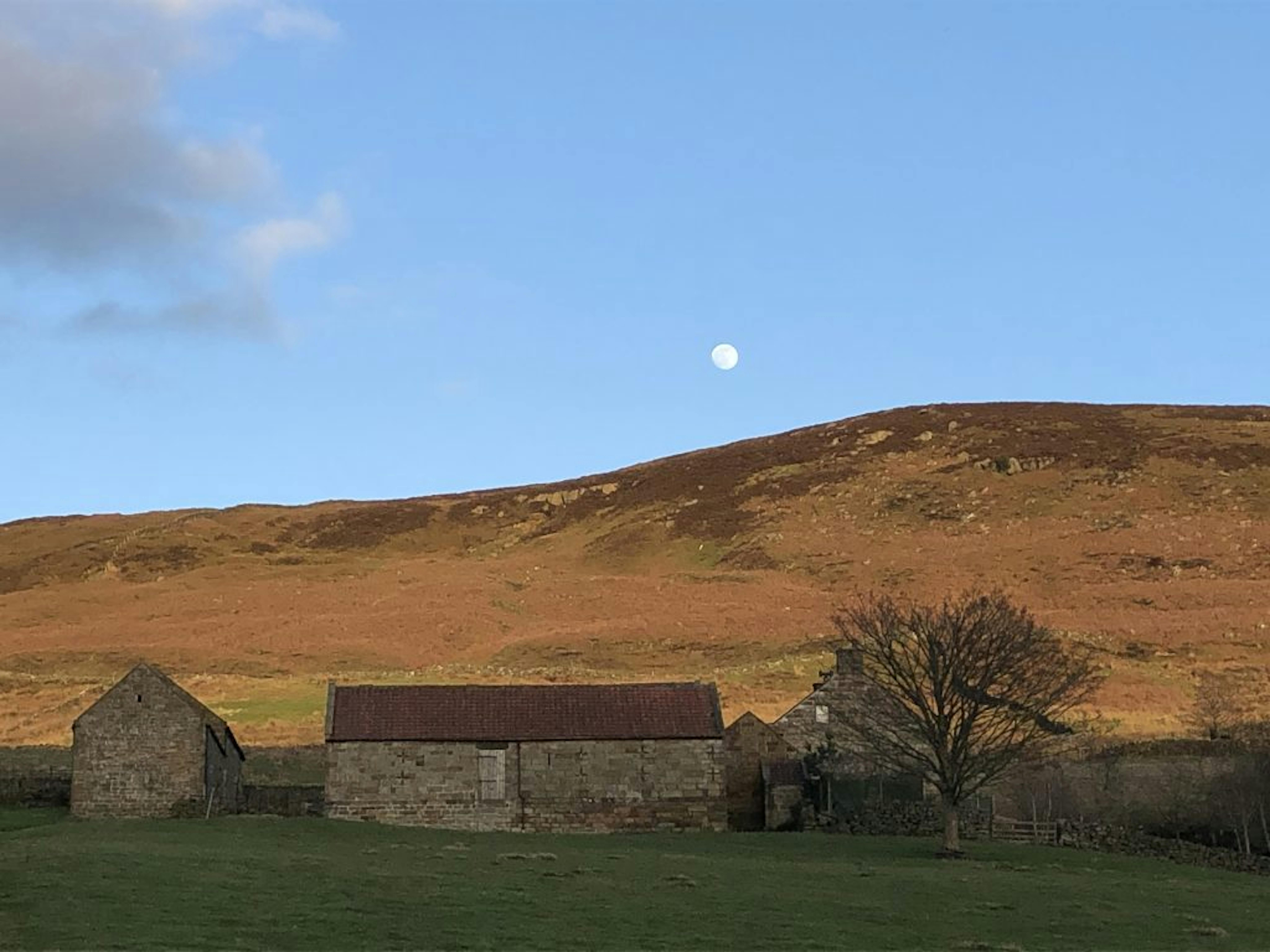 An idyllic picture of a cottage framed by a blue sky and full moon. 