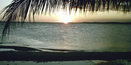 Imagem da praia de Araruama ao pôr do sol. A foto destaca o mar, que reflete o sol, e mostra as folhas de uma palmeira em primeiro plano.