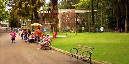 Imagem de parque em Sorocaba, São Paulo, em dia ensolarado. A foto mostra a grama verde com bancos e pessoas caminhando pelo parque.