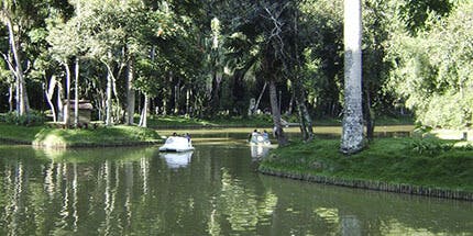 Imagem de parque em Juiz de Fora, Minas Gerais, em dia ensolarado. A imagem mostra o lago com árvores ao redor.