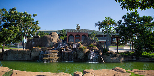 palmas-to