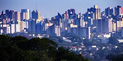 Imagem da cidade de Londrina, no Paraná, ao entardecer. A imagem mostra o topo de árvores no plano mais próximo e ao fundo a paisagem de prédios.