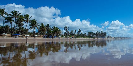 Imagem da praia de Salvador na Bahia em dia ensolarado. A foto mostra coqueiros na areia e o céu azul, que reflete no mar.