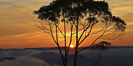 jaragua-do-sul-sc