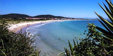 Imagem da costa de Cabo Frio, no Rio de Janeiro, em dia ensolarado. A foto mostra parte da vegetação local no plano mais próximo, com a praia e montanhas ao fundo.