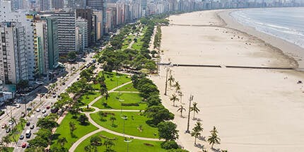 Imagem panorâmica da orla de Santos, em São Paulo. A foto mostra a areia com palmeiras e um caminho de jardim entre a avenida movimentada com carros e prédios até a praia.