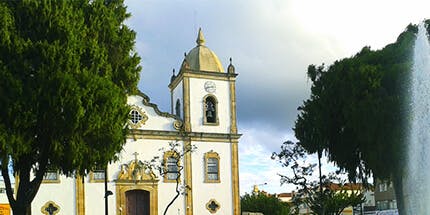Imagem da Paróquia de Nossa Senhora da Piedade em Barbacena, Minas Gerais. A foto mostra a igreja com árvores ao redor em dia ensolarado.