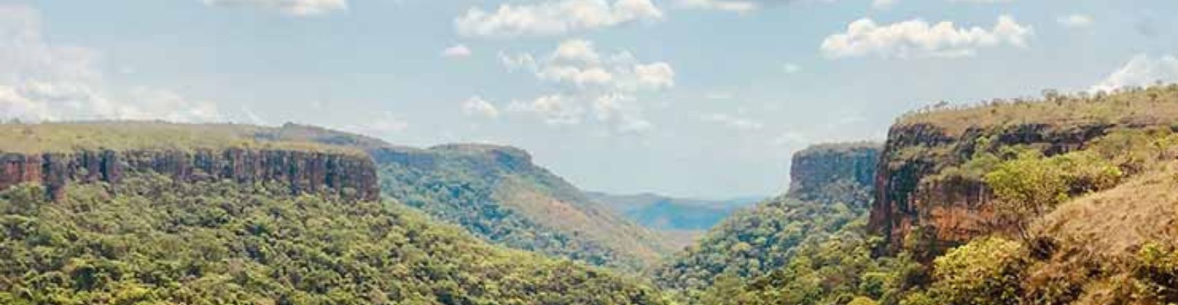 A imagem mostra uma vegetação densa e com árvores. O céu está claro e com nuvens.