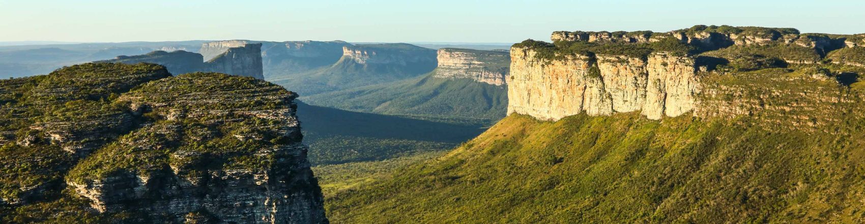 Vista panorâmica da Chapada Diamantina com diferentes tons de verde na vegetação que compõem a paisagem. O céu está azul e sem nuvens.